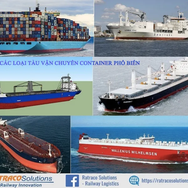 Top 6 loại tàu vận chuyển Container phổ biến nhất hiện nay