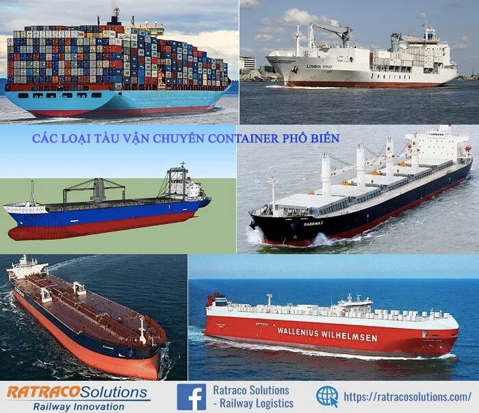 Top 6 loại tàu vận chuyển Container phổ biến nhất hiện nay