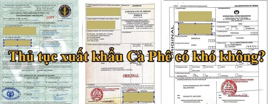 Thủ tục hải quan xuất khẩu Cà Phê có khó không?