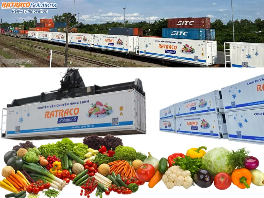 Nhận vận chuyển rau củ bằng Container lạnh uy tín