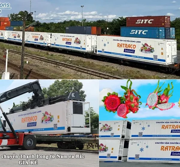 Nhận vận chuyển Thanh Long bằng Container Lạnh từ Nam ra Bắc