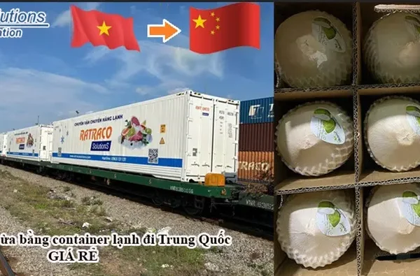 Bảng giá vận tải dừa bằng container lạnh đi Trung Quốc rẻ nhất 2024
