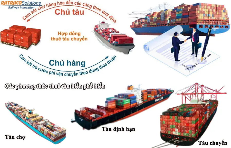 Các phương thức thuê tàu biển phổ biến nhất hiện nay