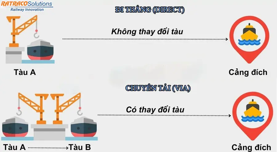 Đi thẳng, chuyển tải là gì trong xuất nhập khẩu?