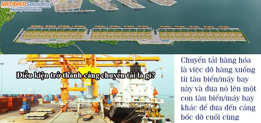 Đi thẳng, chuyển tải là gì trong xuất nhập khẩu?