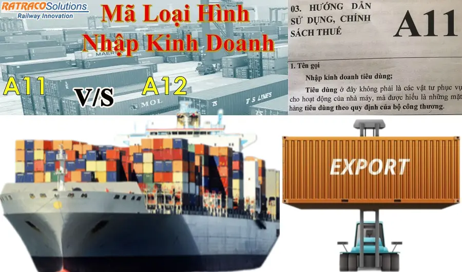 Mã loại hình A11, A12 là gì? Có gì giống khác nhau?