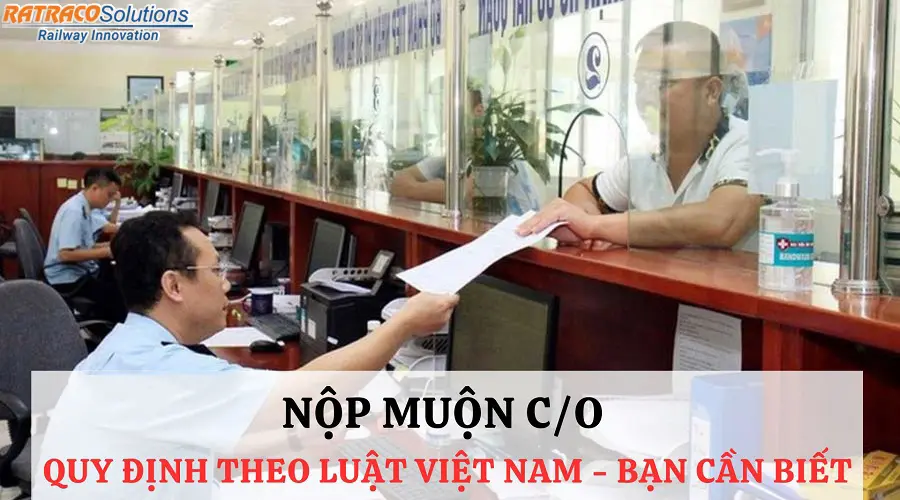 Nộp muộn C/O có được hưởng ưu đãi thuế không?