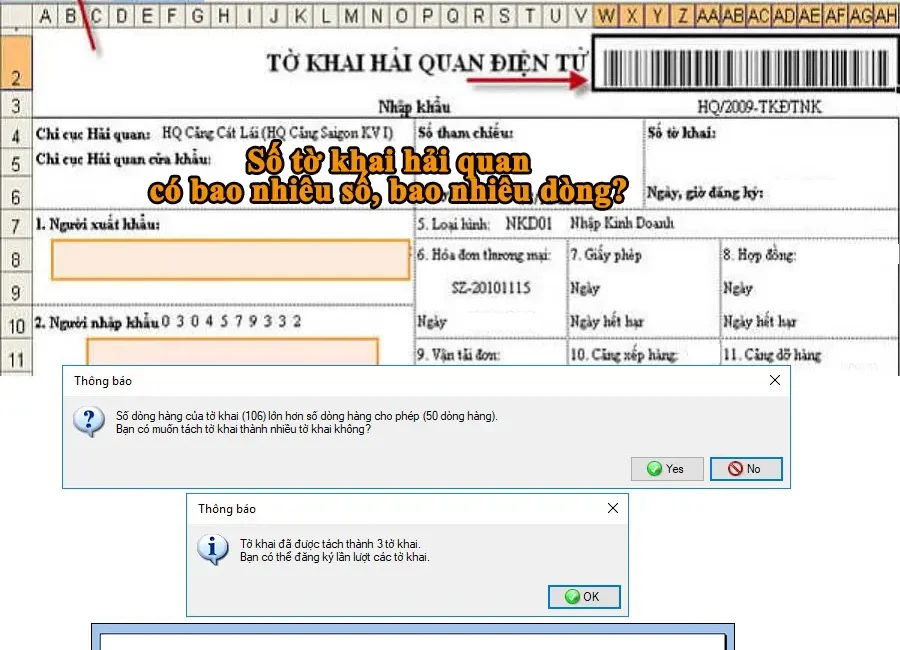 Số tờ khai hải quan có bao nhiêu số, bao nhiêu dòng?
