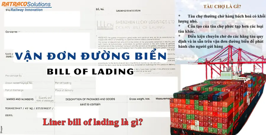 Liner bill of lading là gì? Tác dụng và quy định thế nào?