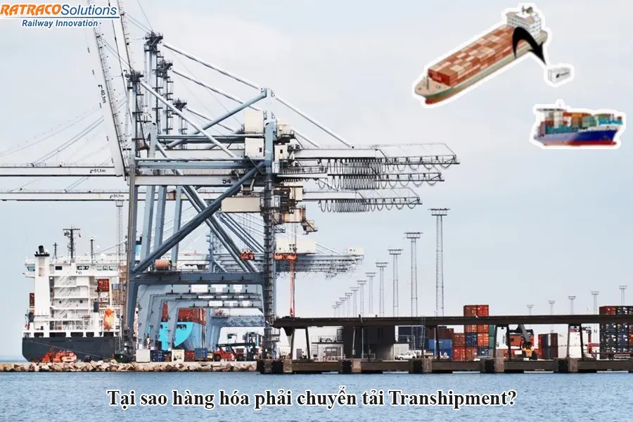 Transhipment là gì? Kiến thức quan trọng về Transhipment