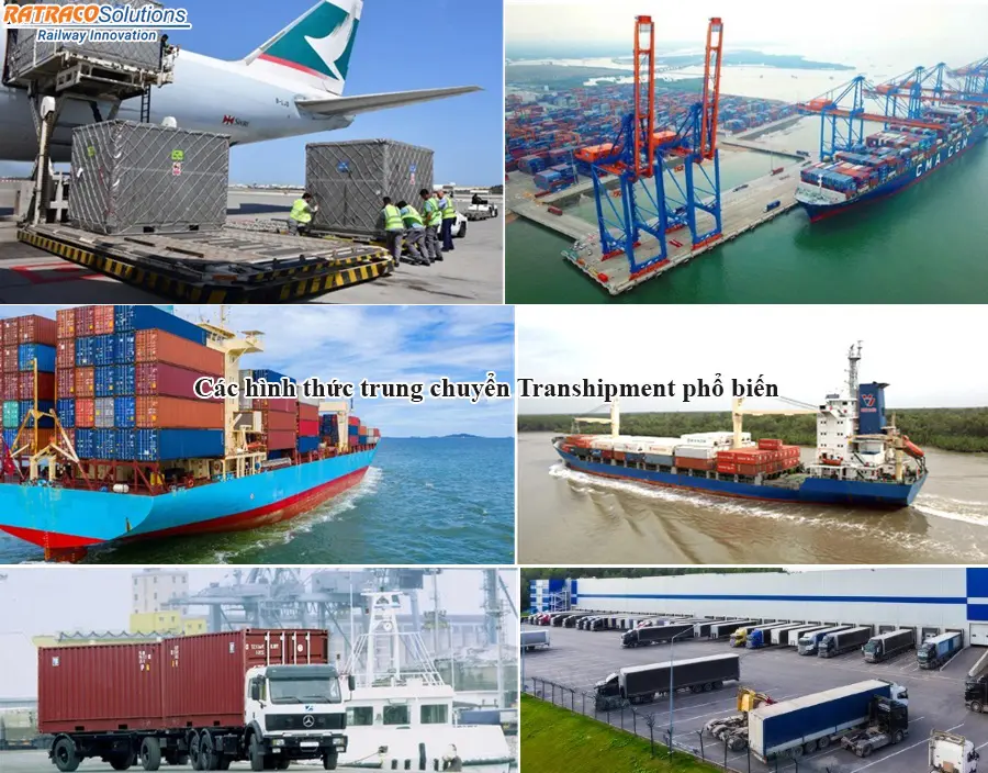 Transhipment là gì? Kiến thức quan trọng về Transhipment