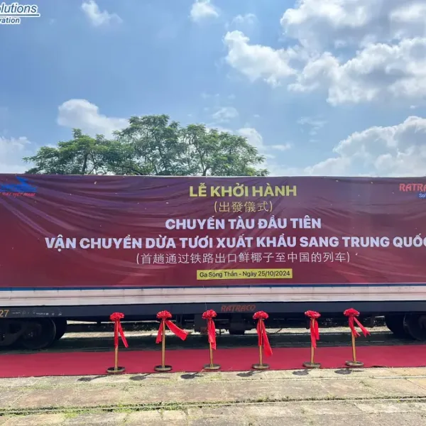 Vận chuyển dừa đi Trung Quốc