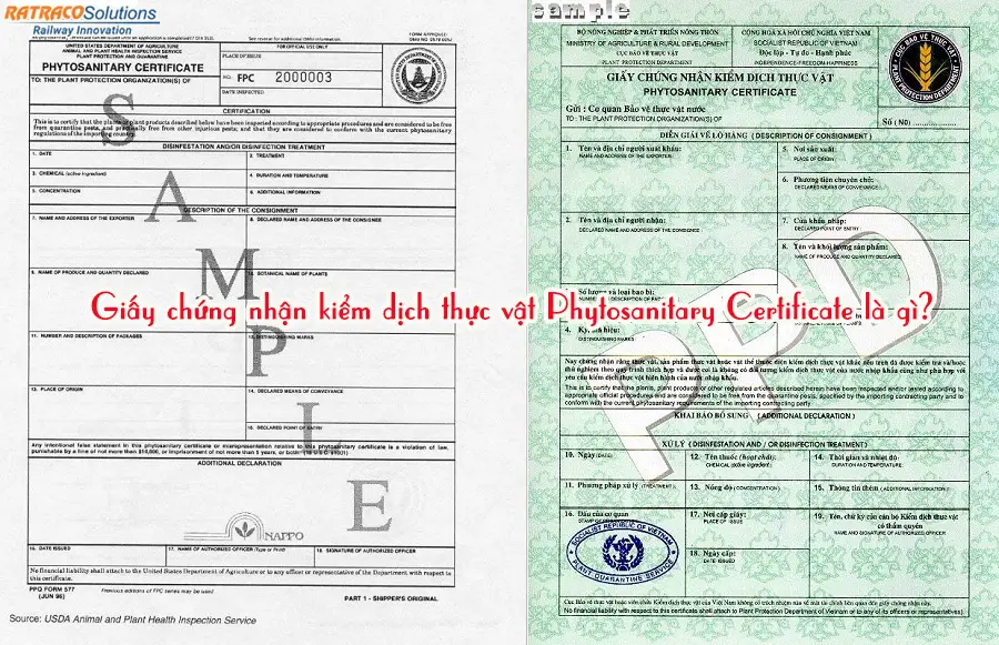 Giấy chứng nhận kiểm dịch thực vật Phytosanitary Certificate là gì?