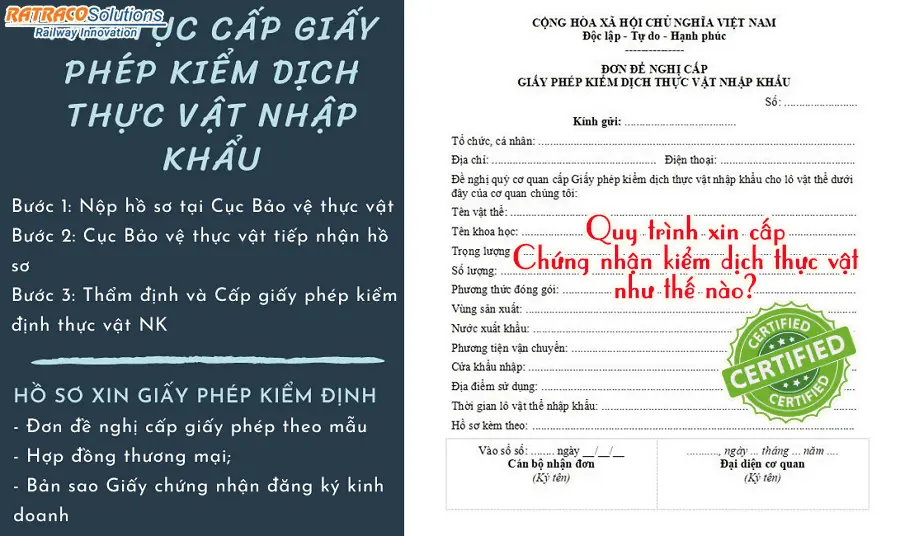 Giấy chứng nhận kiểm dịch thực vật Phytosanitary Certificate là gì?